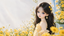 Doll Daisies - Home